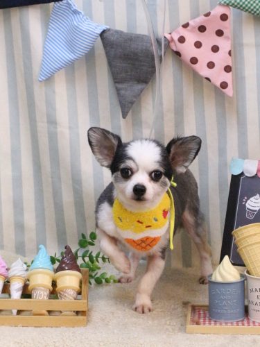 20250525レイくん